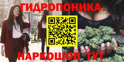 прущие крисы Нарткала