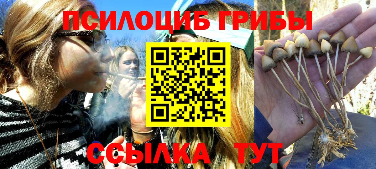 где можно купить   Вход с VPN  Узловая  Псилоцибиновые грибы Psilocybine cubensis 
