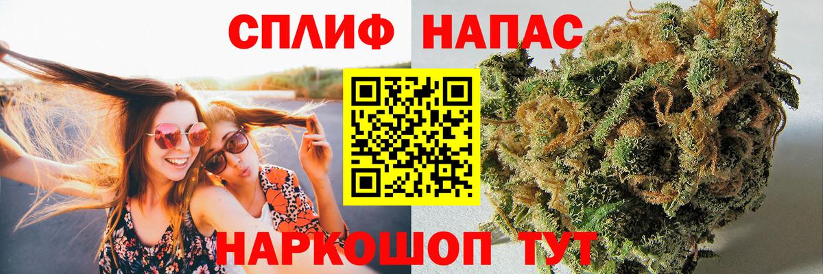 Конопля Amnesia Узловая